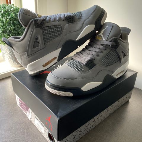 Jordan 4 Cool Grey 2019