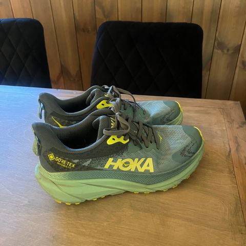 Hoka Challenger 7GTX