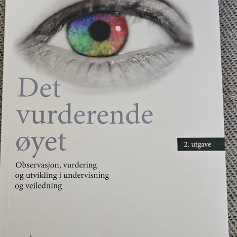 Det vurderende øyet av Cato R.P. Bjørndal