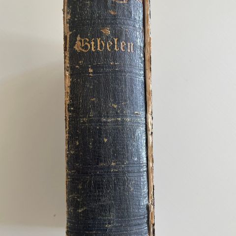 Bibel fra 1877