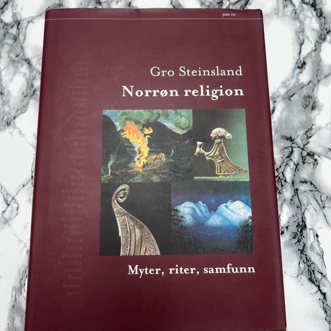 Norrøn religion myter, riter, samfunn | 2005