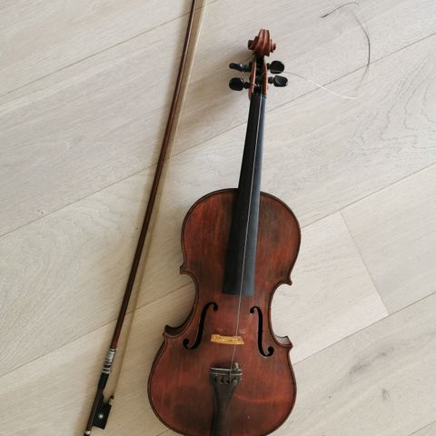 Violin/fele