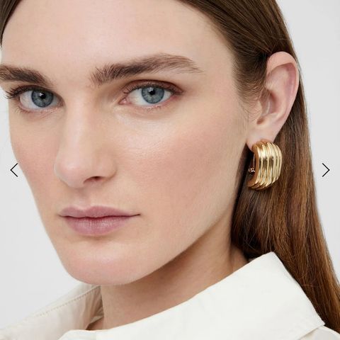 LITE BRUKT! Anine Bing chunky earrings