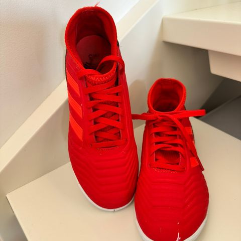 Nesten ubrukte Adidas Predator innesko str 35