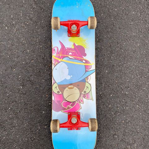 Skateboard/ rullebrett