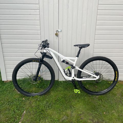 Specialized Camber 29"