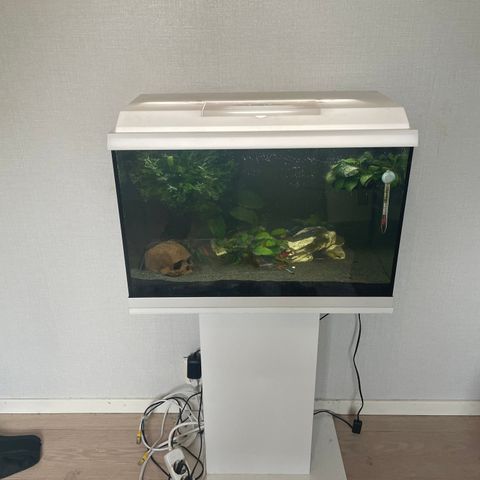 Juwel akvarium