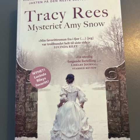 Tracey Rees - «Mysteriet Amy Snow»