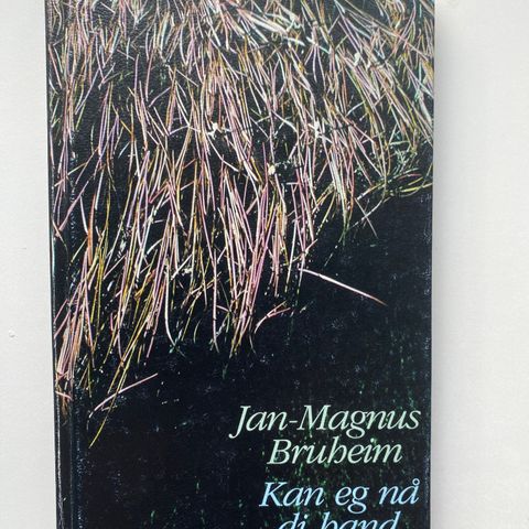 Jan Magnus Bruheim - dikt