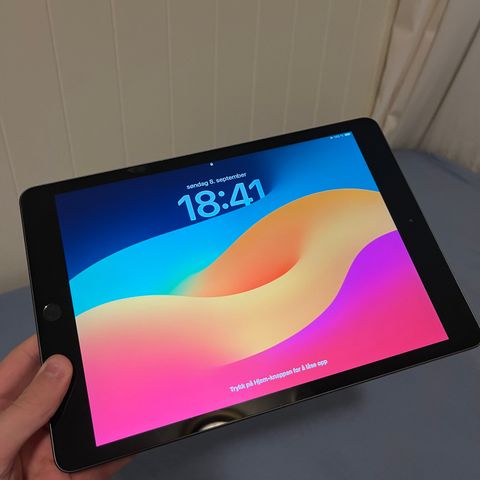 Ipad 8 32gb (Pris kan diskuteres)