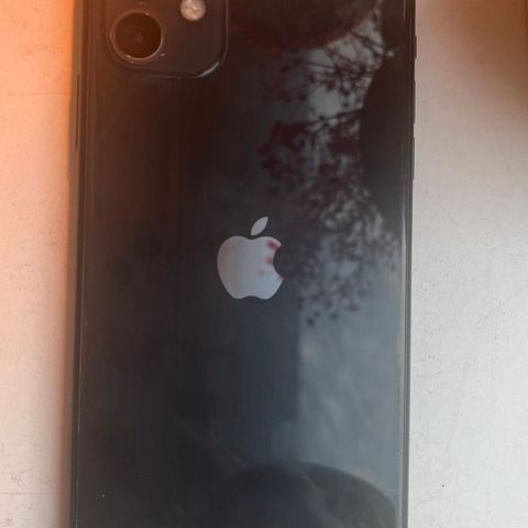 iPhone 11  128 GB