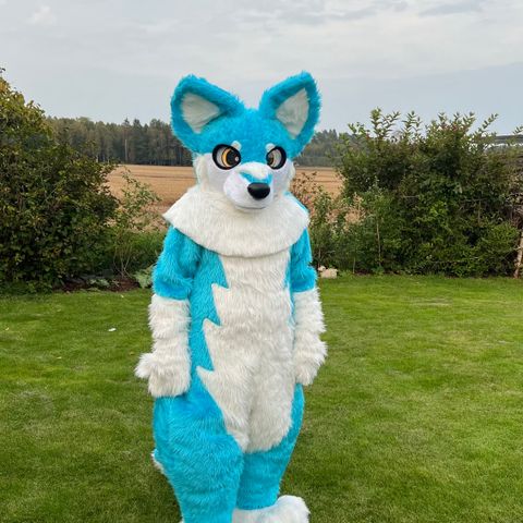 Husky Furry suit/drakt (cosplay)