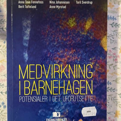 Medvirkning i barnehagen Berit BAE