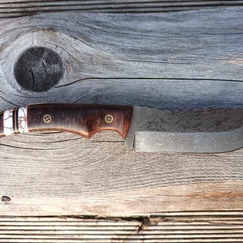 Semper Sharp - Rhino kniv