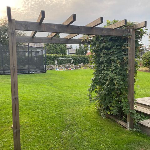 Pergola med klatreplanter og stauder.. 700,- for alt sammen!