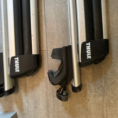 Thule skistativ