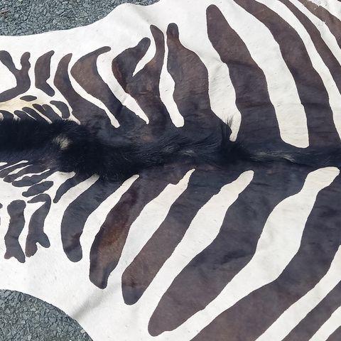 Zebraskinn