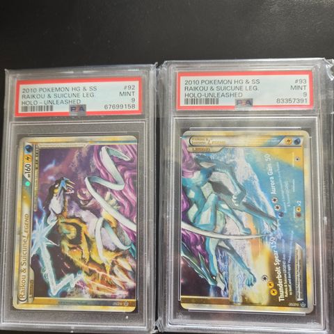 Pokemon raikuo & suicune