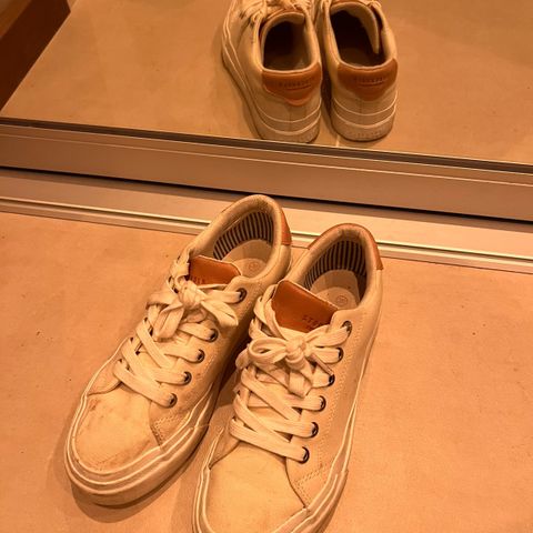 Stockholm sneakers