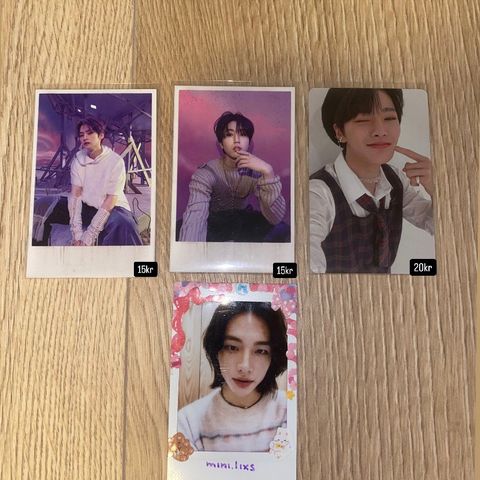 Stray kids pc