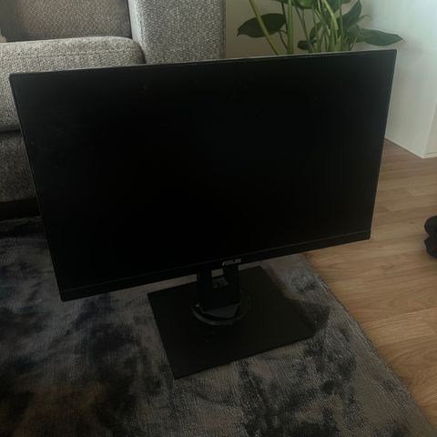 Asus 60hz LCD-monitor (2020)