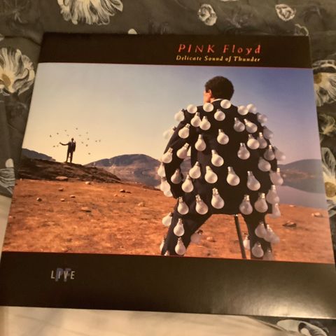 Pink Floyd - Delicate sound of thunder - 2 LP 2017