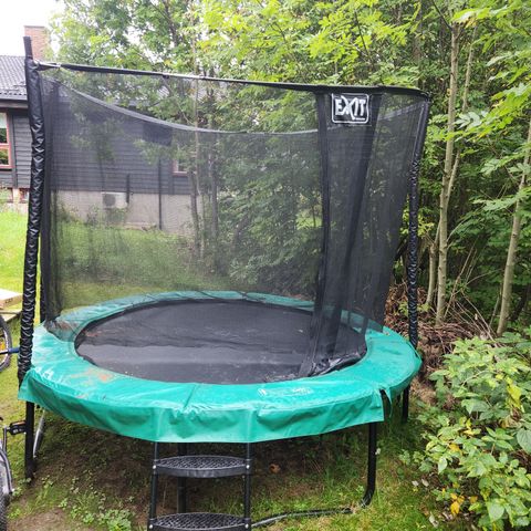 Trampoline EXIT 244cm