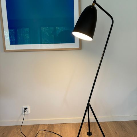 Gräshoppa lampe