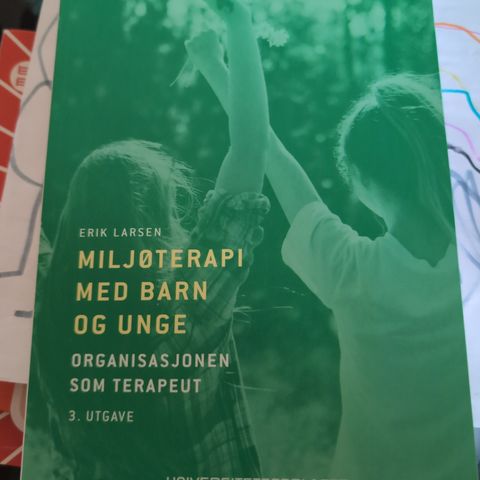 Miljøterapi med barn og unge