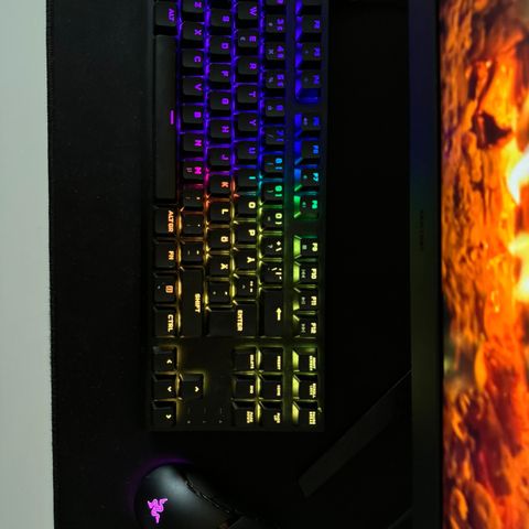 Mekanisk spilltastatur Corsair, spillmus Razer Cobra