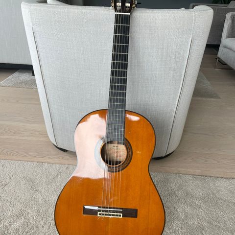 Yamaha G245S