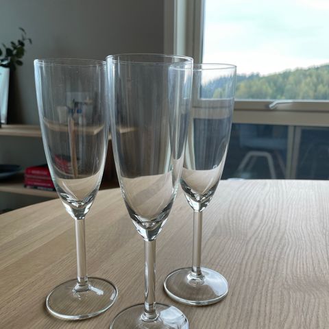 Champagneglass - 16 stk