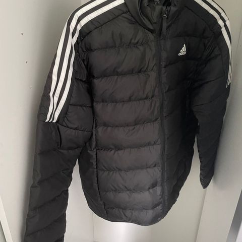 Adidas jacket