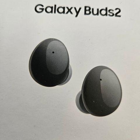 Galaxy Buds 2