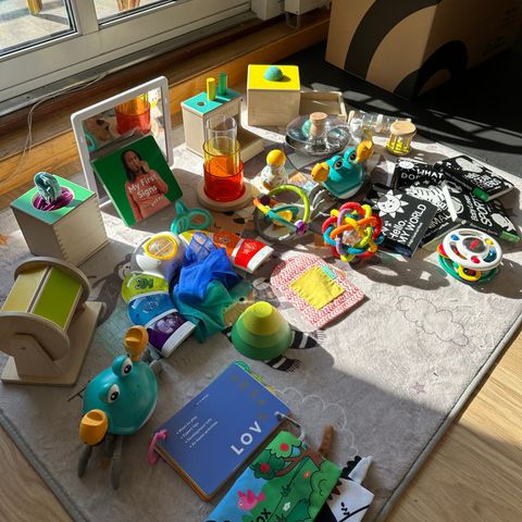 Toy Bundle - Including a lot of Lovevery Toys and Tummy Time Crab