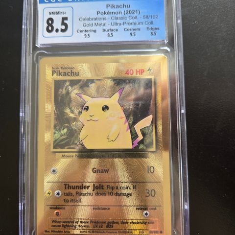 Pokemon metal pikachu celebration