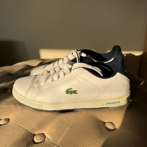 Lacoste sko str. 42