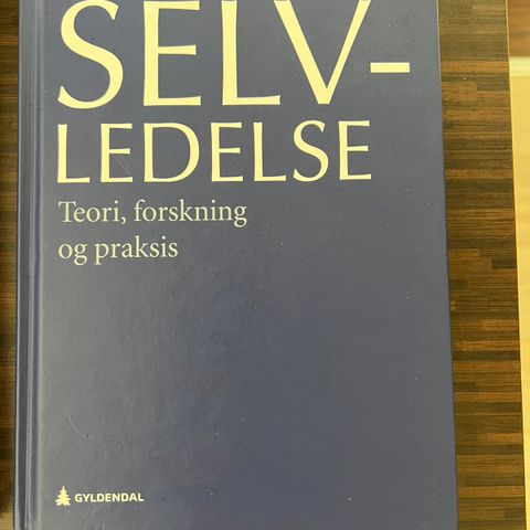 Selvledelse. Teori, forskning og praksis. Glasø og Thompson (red) 2018