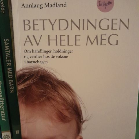 Betydning av hele meg