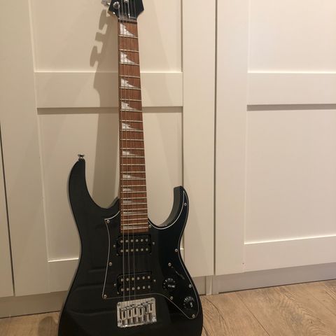 Ibanez mikro