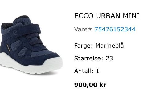 Supre Ecco Goretex sko - overgangssko