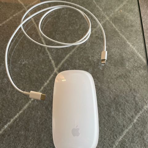 Apple magic mouse oppladbar