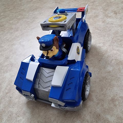 Paw Patrol Chase