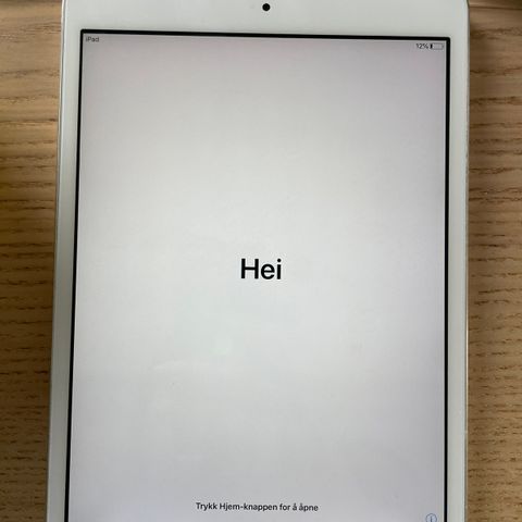 iPad mini 2