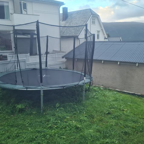 Trampoline