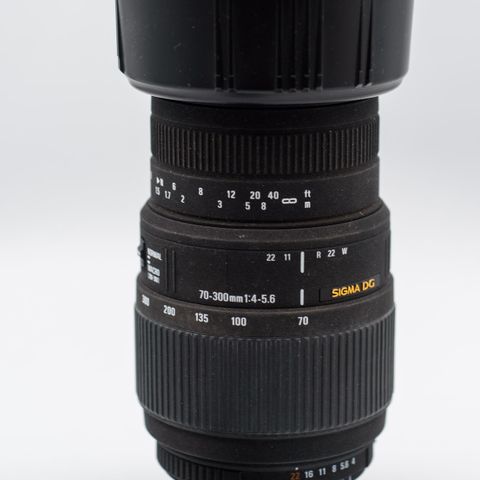 Sigma 70-300mm f4-5.6 DG Macro Nikon F