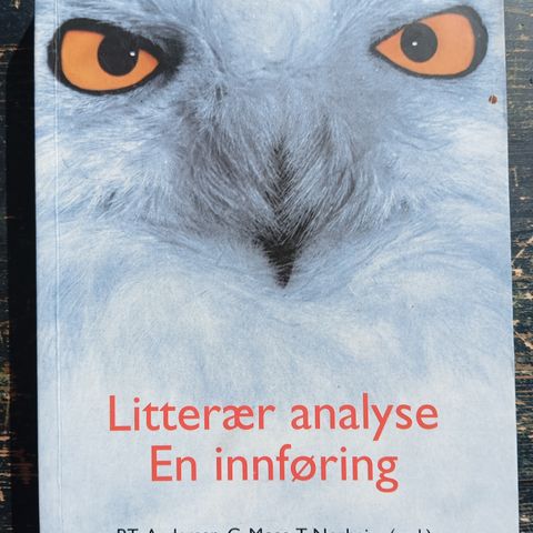 Litterær analyse: en innføring