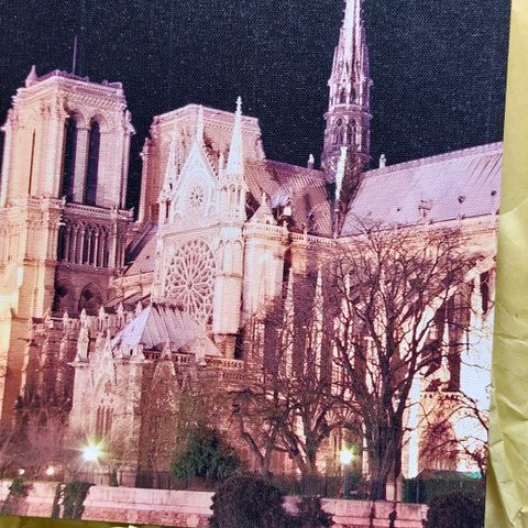 Perfect Home Exclusive Collection Book Notre Dame motiv - Oppbevaring/pynt etc