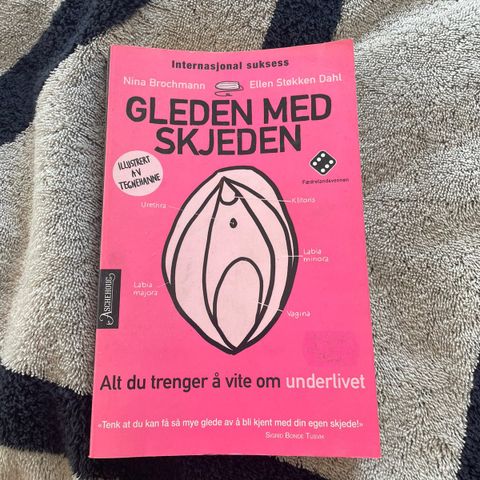 Gleden med skjeden