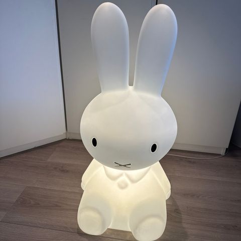 Mr. Maria Miffy XL